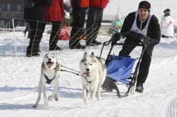 Lenk 2012 SM